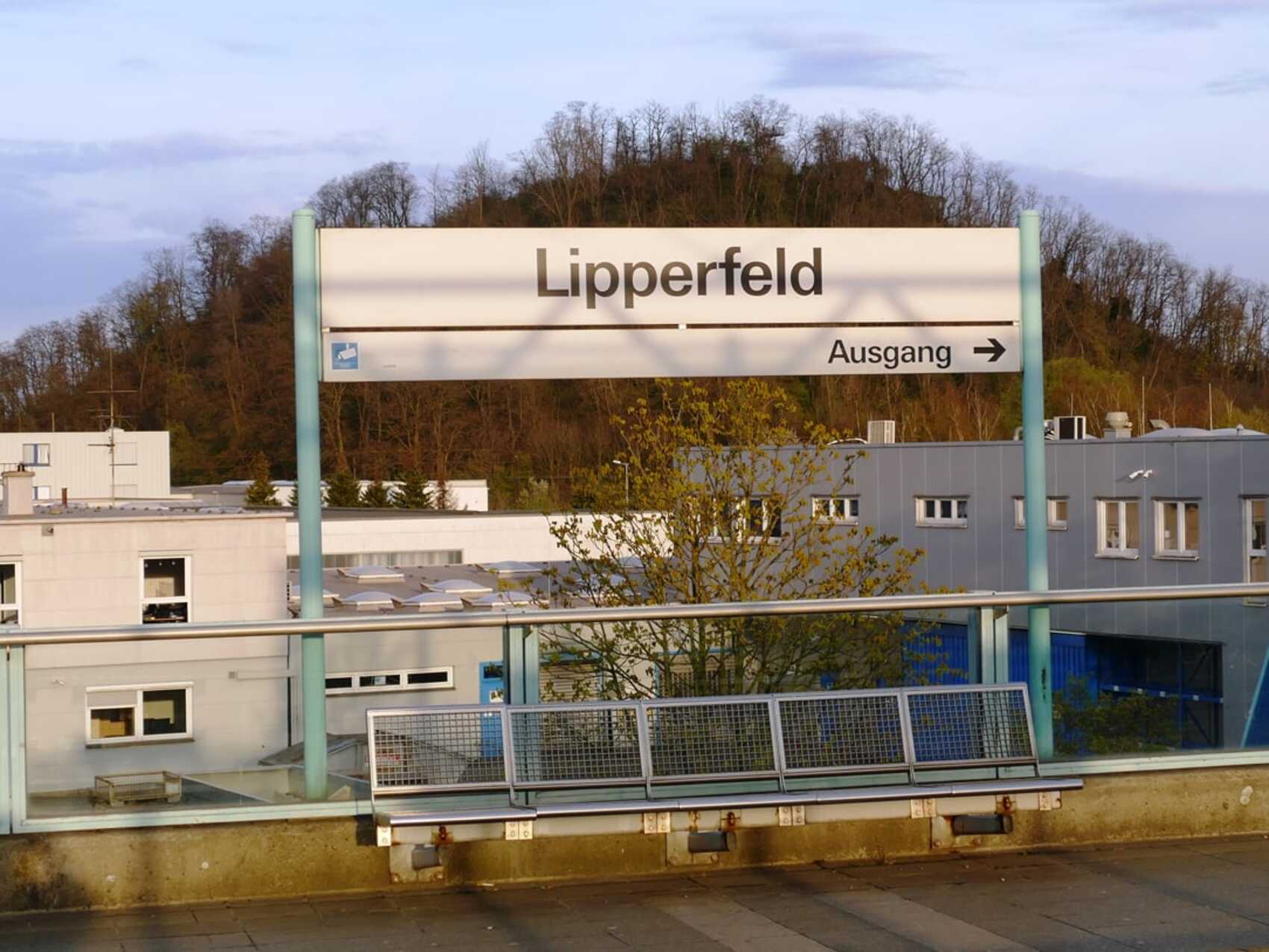 Haltestelle Liiperfeld mit Haltestellenschild und Knappenhalde im Hintergrund