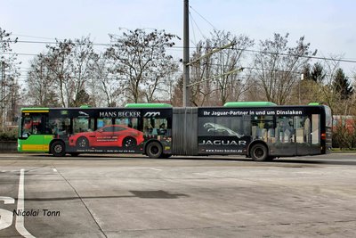 Verkehrsmittelwerbung von Jaguar auf einem STOAG Bus
