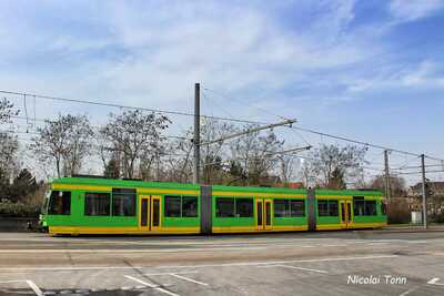 Abbildung einer STOAG Straßenbahn auf der Straße