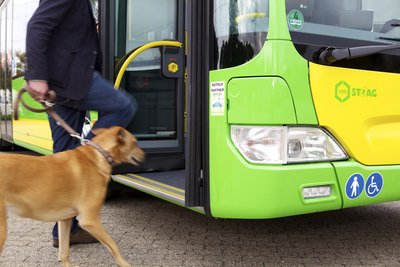 A man gets on a STOAG bus with his dog